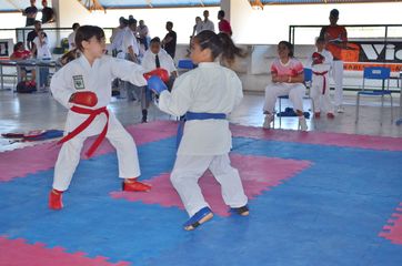 Fase do Campeonato Cearense de Karate 2014 - Foto 223
