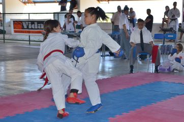 Fase do Campeonato Cearense de Karate 2014 - Foto 224