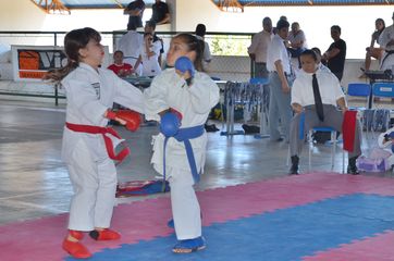 Fase do Campeonato Cearense de Karate 2014 - Foto 225