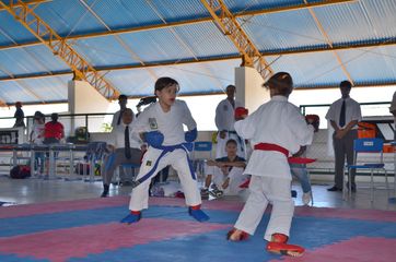 Fase do Campeonato Cearense de Karate 2014 - Foto 228