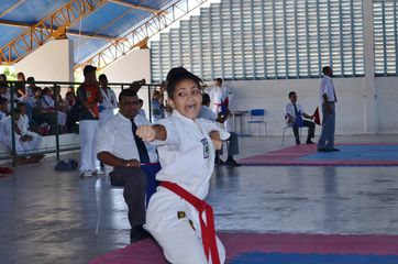 Fase do Campeonato Cearense de Karate 2014 - Foto 237