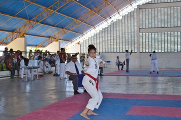 Fase do Campeonato Cearense de Karate 2014 - Foto 238