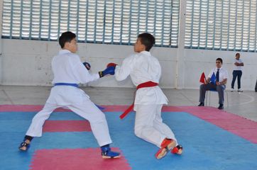 Fase do Campeonato Cearense de Karate 2014 - Foto 240
