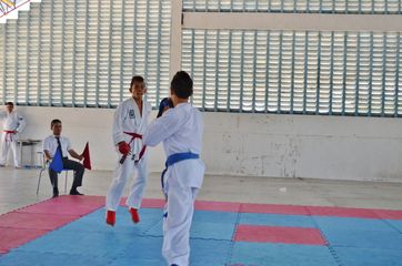 Fase do Campeonato Cearense de Karate 2014 - Foto 241