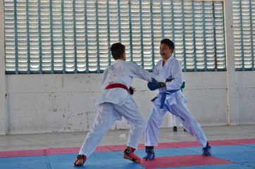 Fase do Campeonato Cearense de Karate 2014 - Foto 245