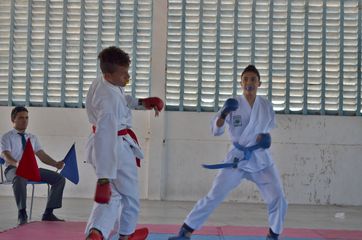 Fase do Campeonato Cearense de Karate 2014 - Foto 246