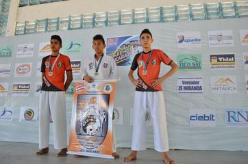 Fase do Campeonato Cearense de Karate 2014 - Foto 251