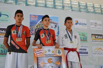 Fase do Campeonato Cearense de Karate 2014 - Foto 252