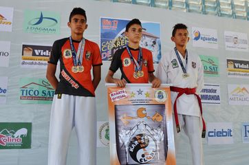Fase do Campeonato Cearense de Karate 2014 - Foto 253