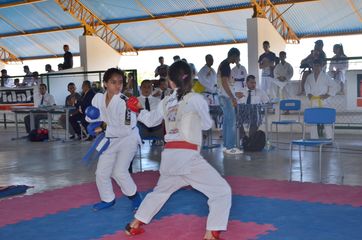 Fase do Campeonato Cearense de Karate 2014 - Foto 263