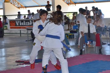 Fase do Campeonato Cearense de Karate 2014 - Foto 264