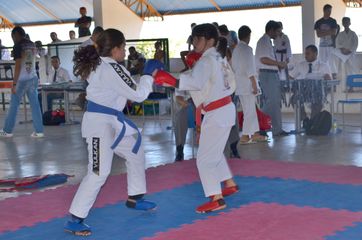 Fase do Campeonato Cearense de Karate 2014 - Foto 265
