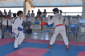 Fase do Campeonato Cearense de Karate 2014 - Foto 269