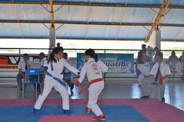 Fase do Campeonato Cearense de Karate 2014 - Foto 270