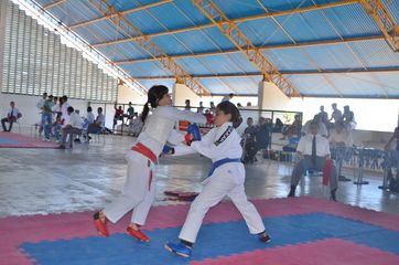 Fase do Campeonato Cearense de Karate 2014 - Foto 272