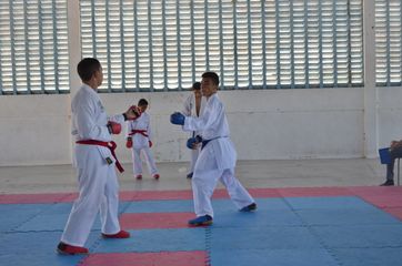 Fase do Campeonato Cearense de Karate 2014 - Foto 278