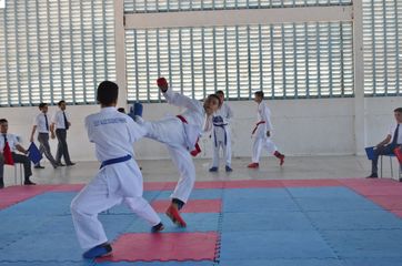 Fase do Campeonato Cearense de Karate 2014 - Foto 279