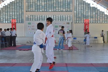 Fase do Campeonato Cearense de Karate 2014 - Foto 280