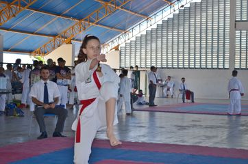 Fase do Campeonato Cearense de Karate 2014 - Foto 283