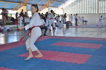 Fase do Campeonato Cearense de Karate 2014 - Foto 288