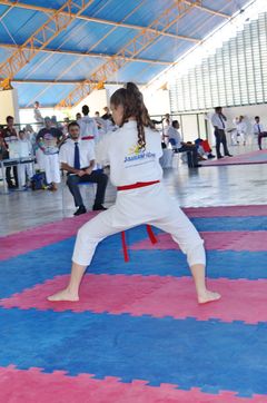 Fase do Campeonato Cearense de Karate 2014 - Foto 290