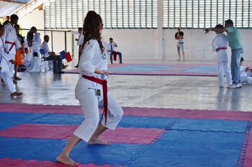 Fase do Campeonato Cearense de Karate 2014 - Foto 292
