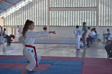Fase do Campeonato Cearense de Karate 2014 - Foto 294