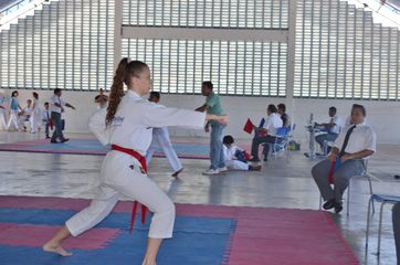Fase do Campeonato Cearense de Karate 2014 - Foto 296