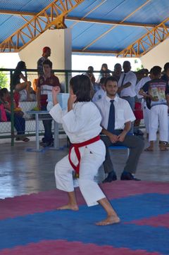 Fase do Campeonato Cearense de Karate 2014 - Foto 306