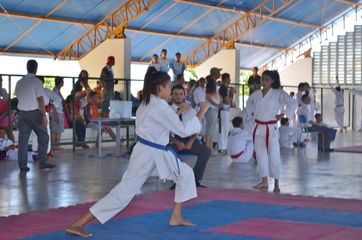 Fase do Campeonato Cearense de Karate 2014 - Foto 309