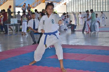 Fase do Campeonato Cearense de Karate 2014 - Foto 311