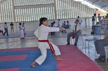 Fase do Campeonato Cearense de Karate 2014 - Foto 314