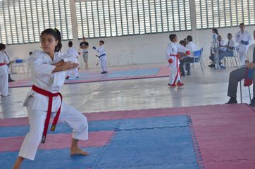Fase do Campeonato Cearense de Karate 2014 - Foto 317