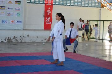 Fase do Campeonato Cearense de Karate 2014 - Foto 321