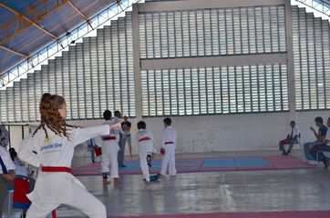Fase do Campeonato Cearense de Karate 2014 - Foto 328