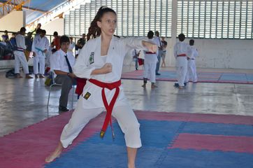 Fase do Campeonato Cearense de Karate 2014 - Foto 330