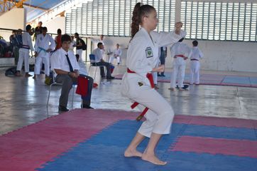 Fase do Campeonato Cearense de Karate 2014 - Foto 331