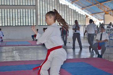 Fase do Campeonato Cearense de Karate 2014 - Foto 334