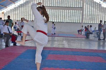 Fase do Campeonato Cearense de Karate 2014 - Foto 336