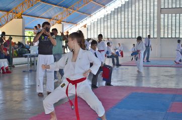 Fase do Campeonato Cearense de Karate 2014 - Foto 337
