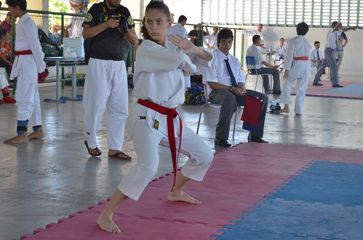 Fase do Campeonato Cearense de Karate 2014 - Foto 339