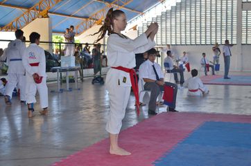 Fase do Campeonato Cearense de Karate 2014 - Foto 340
