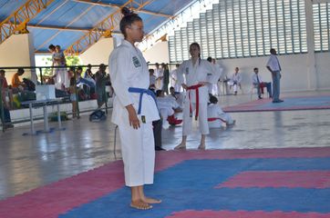 Fase do Campeonato Cearense de Karate 2014 - Foto 341