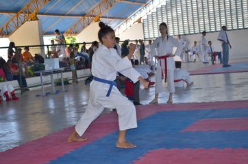 Fase do Campeonato Cearense de Karate 2014 - Foto 342