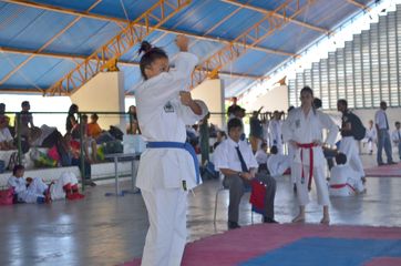 Fase do Campeonato Cearense de Karate 2014 - Foto 344