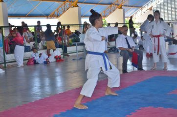 Fase do Campeonato Cearense de Karate 2014 - Foto 346