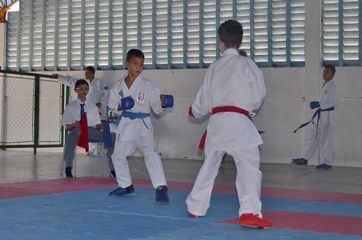 Fase do Campeonato Cearense de Karate 2014 - Foto 348