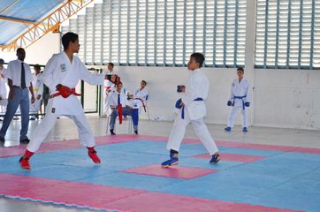 Fase do Campeonato Cearense de Karate 2014 - Foto 349