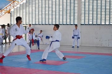Fase do Campeonato Cearense de Karate 2014 - Foto 350