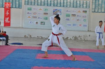 Fase do Campeonato Cearense de Karate 2014 - Foto 351